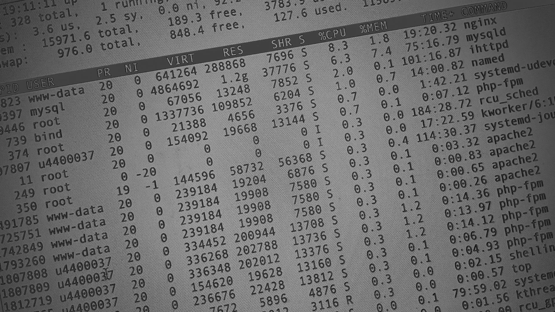 Настройка сервера в Чёрмозе Настройка сервера в Чёрмозе